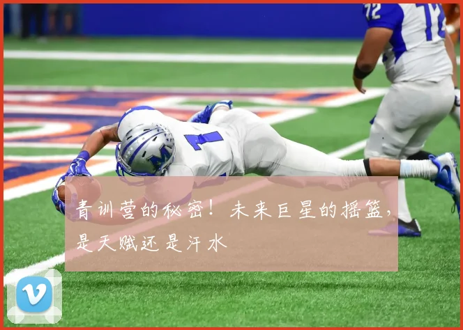 青训营的秘密!未来巨星的摇篮,是天赋还是汗水
