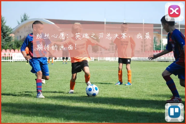 粉丝心愿：英魂之刃总决赛，我最期待的画面！