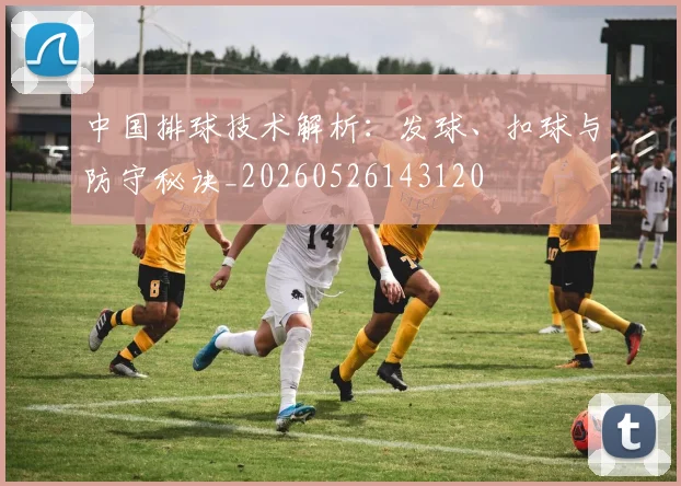 中国排球技术解析:发球、扣球与防守秘诀_20260526143120