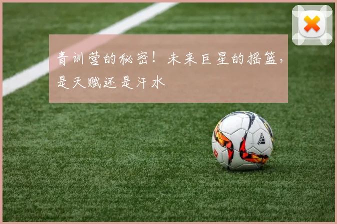 青训营的秘密!未来巨星的摇篮,是天赋还是汗水